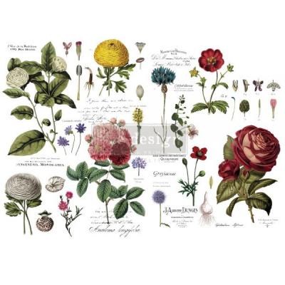 Prima Marketing Re-Design Transferpapier- Vintage Botanical